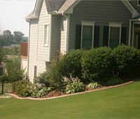 Yard Lawn Maintenance