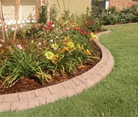 Landscape Design Plants